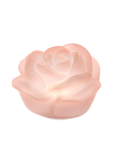 ROSA IN VETRO ROSA
