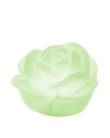 ROSA IN VETRO VERDE