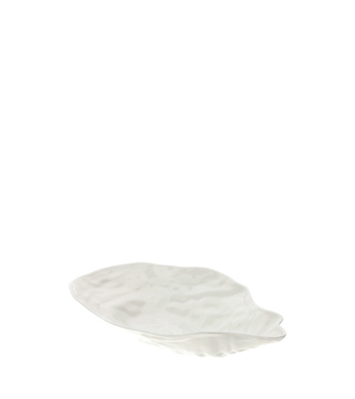 CIOTOLA OYSTER PICCOLA
