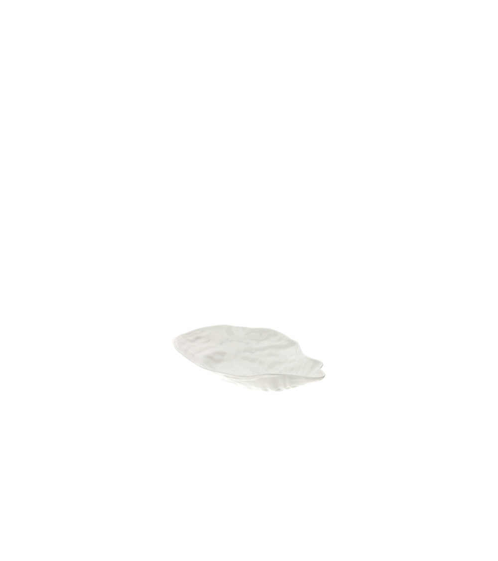 CIOTOLA OYSTER PICCOLA