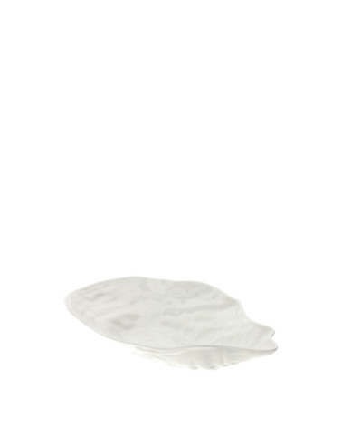CIOTOLA OYSTER PICCOLA