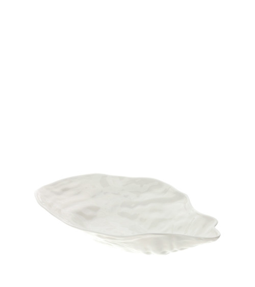 CIOTOLA OYSTER GRANDE