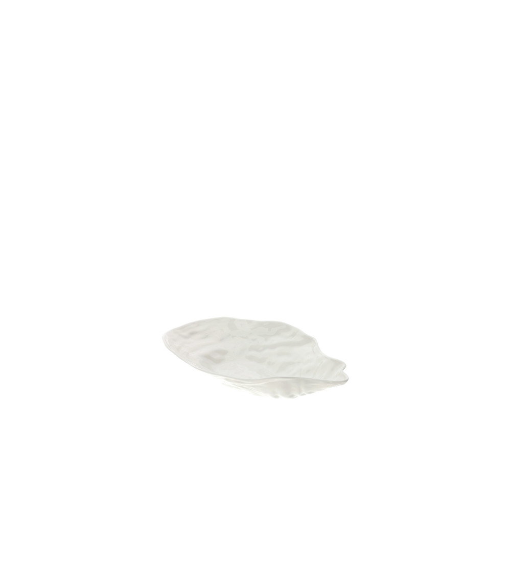 CIOTOLA OYSTER GRANDE