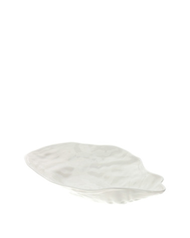 CIOTOLA OYSTER GRANDE