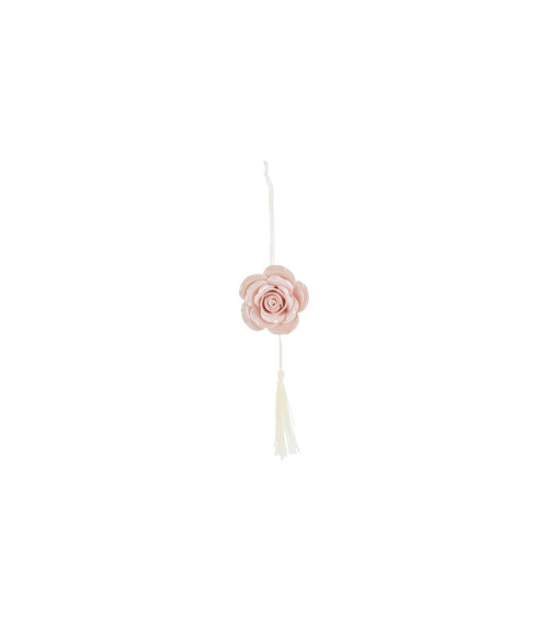 APPENDINO ROSA CALAMITA ROSA