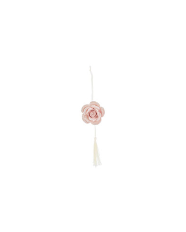 APPENDINO ROSA CALAMITA ROSA