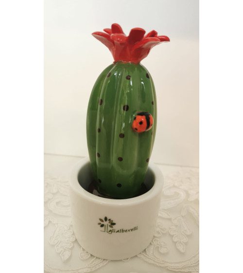 PIANTINA GRASSA MIGNON