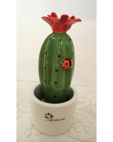 PIANTINA GRASSA MIGNON