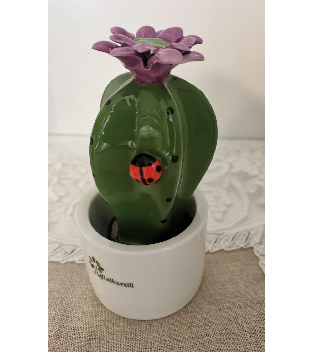 PIANTINA GRASSA MIGNON