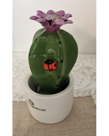 PIANTINA GRASSA MIGNON