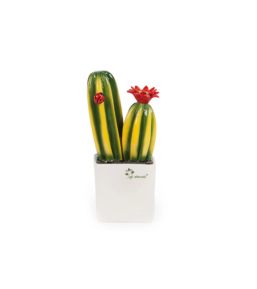 PIANTINA GRASSA  CACTUS