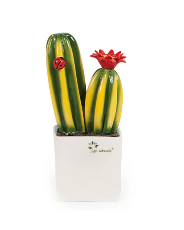PIANTINA GRASSA  CACTUS