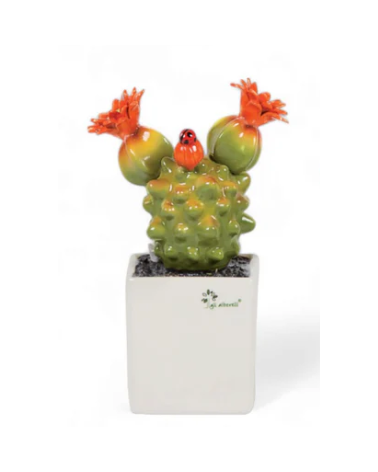 PIANTA GRASSA MEDIA MAMMILLARIA