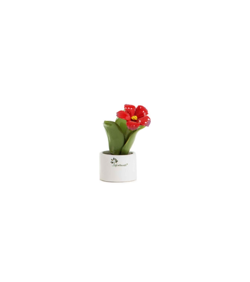 PIANTINA NATURA MIGNON CAMPANULA ROSSA