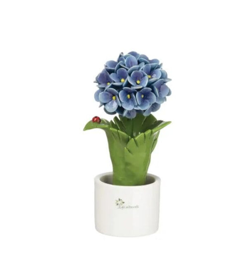 ORTENSIA BLU