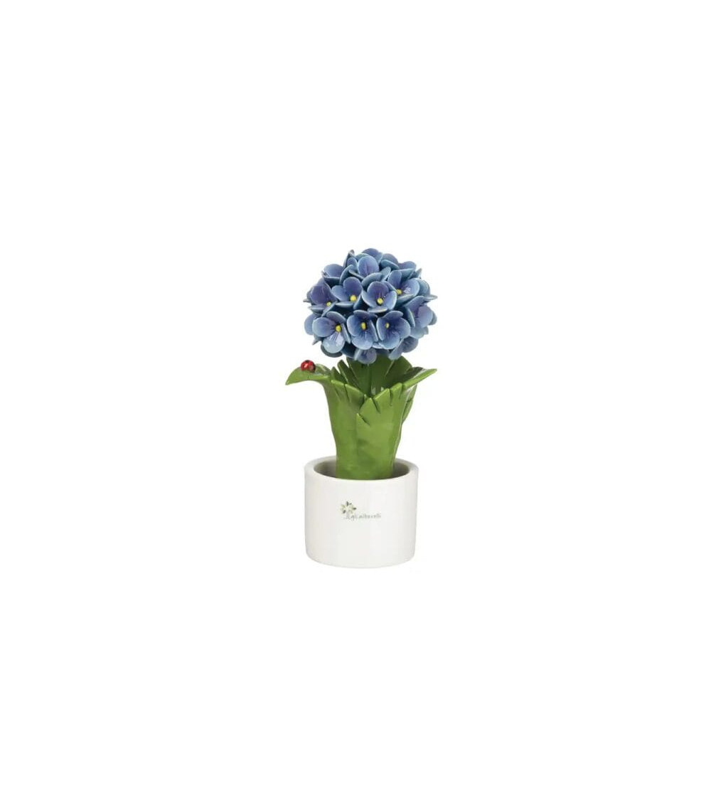 ORTENSIA BLU