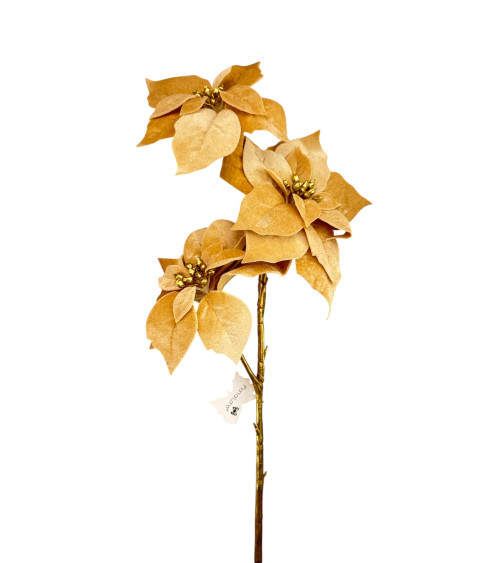 STELO CON STELLE DI NATALE CHAMPAGNE FIORI DI LENA