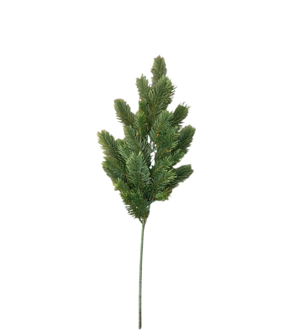 RAMO DI ABETE VERDE