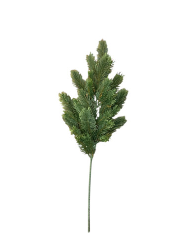 RAMO DI ABETE VERDE