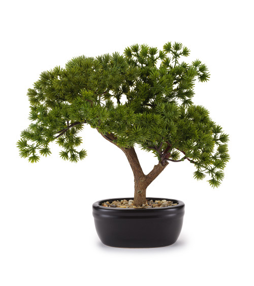 BONSAI PINO ARTIFICIALE