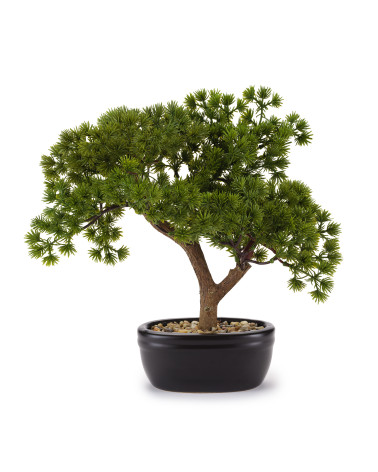 BONSAI PINO ARTIFICIALE
