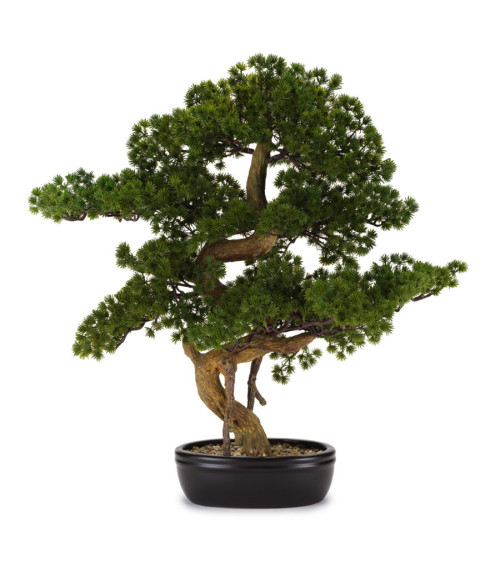 BONSAI PINO ARTIFICIALE GRANDE