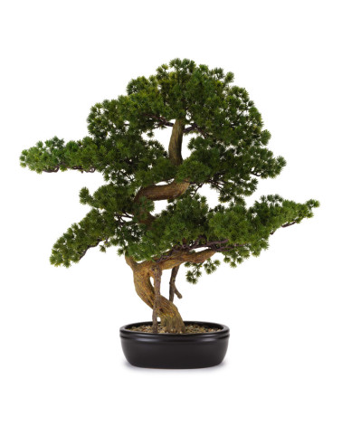 BONSAI PINO ARTIFICIALE GRANDE