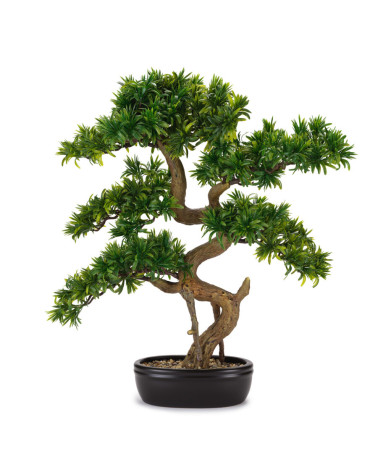 BONSAI TASSO GIAPPONESE  ARTIFICIALE GRANDE