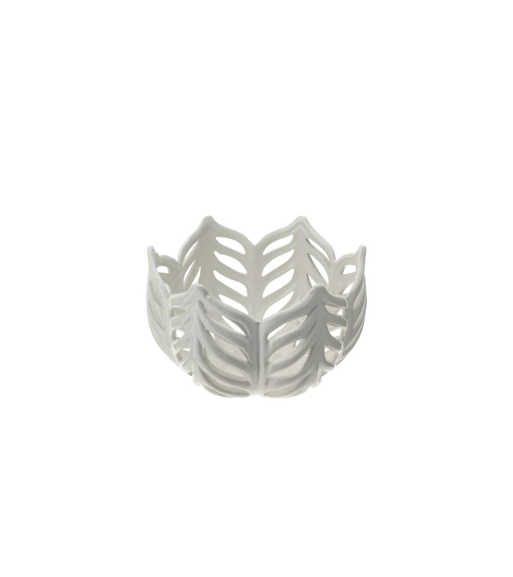 CENTROTAVOLA LEAF