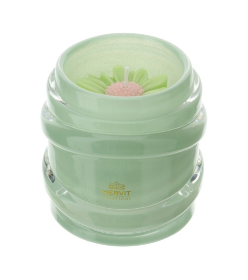 candela linea daisy