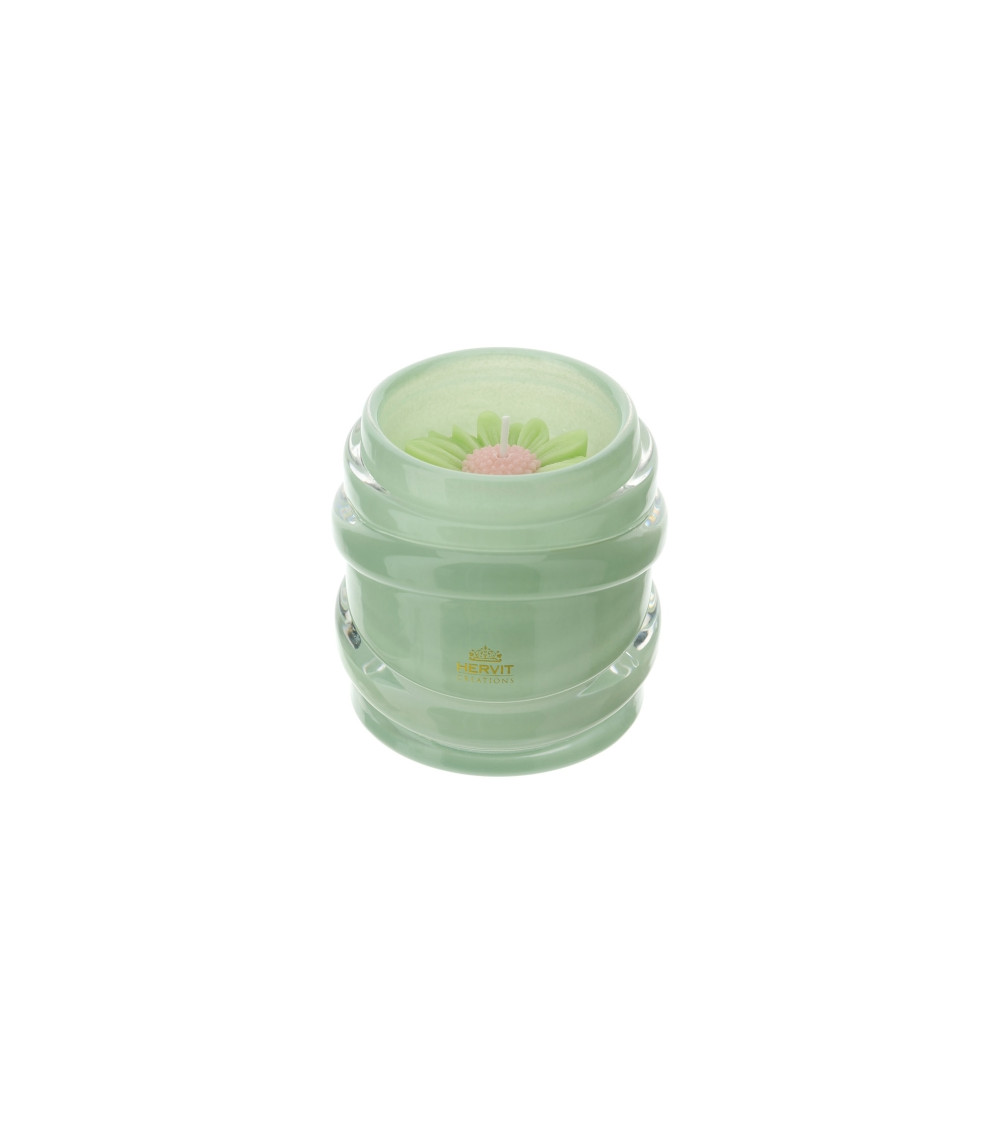 candela linea daisy