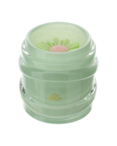 candela linea daisy