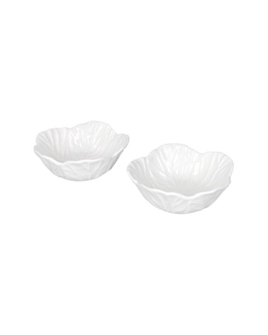 SET DUE CIOTOLINE FOGLIA VEGAN