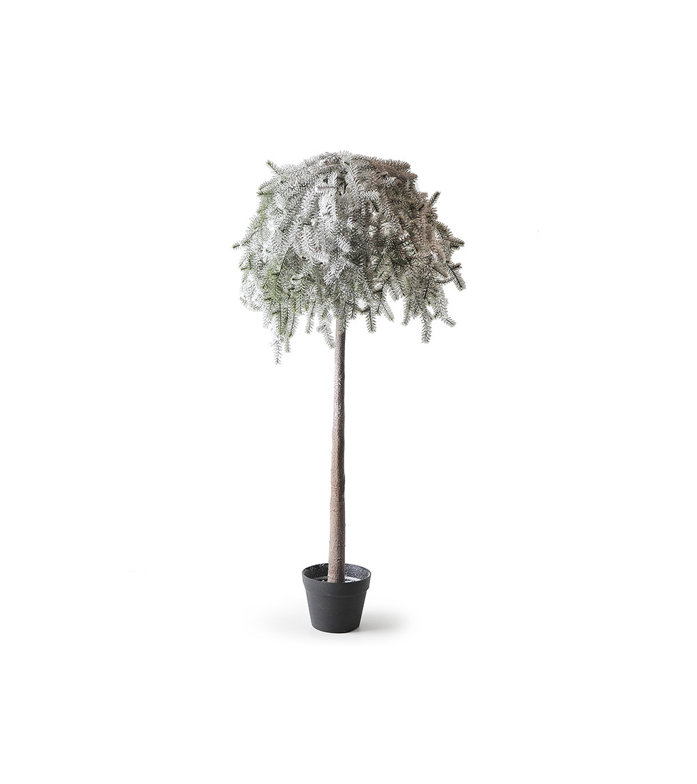 PINO INNEVATO 122CM HERVIT