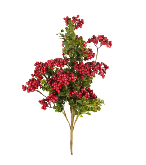 PICK DI BACCHE ROSSE