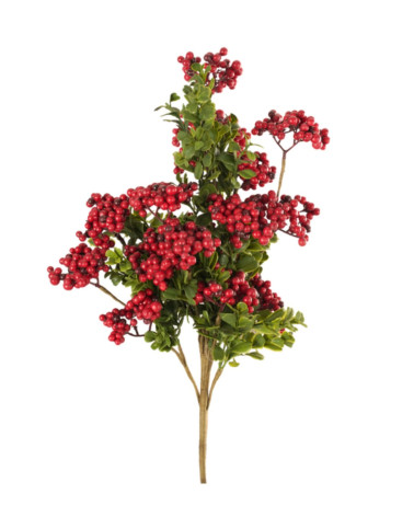 PICK DI BACCHE ROSSE