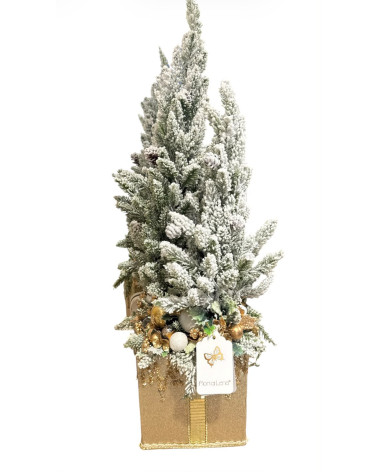 ALBERELLI SU BASE PACCO REGALO 60 CM