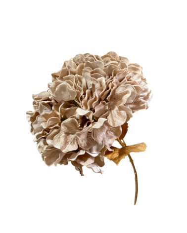 ORTENSIA IN VELLUTO IVORY