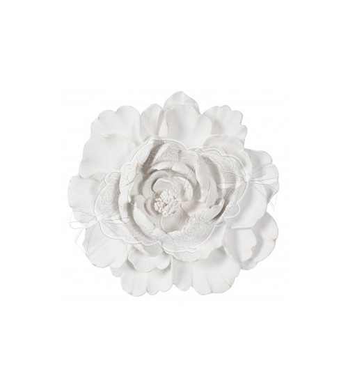 Bocciolo Camelia