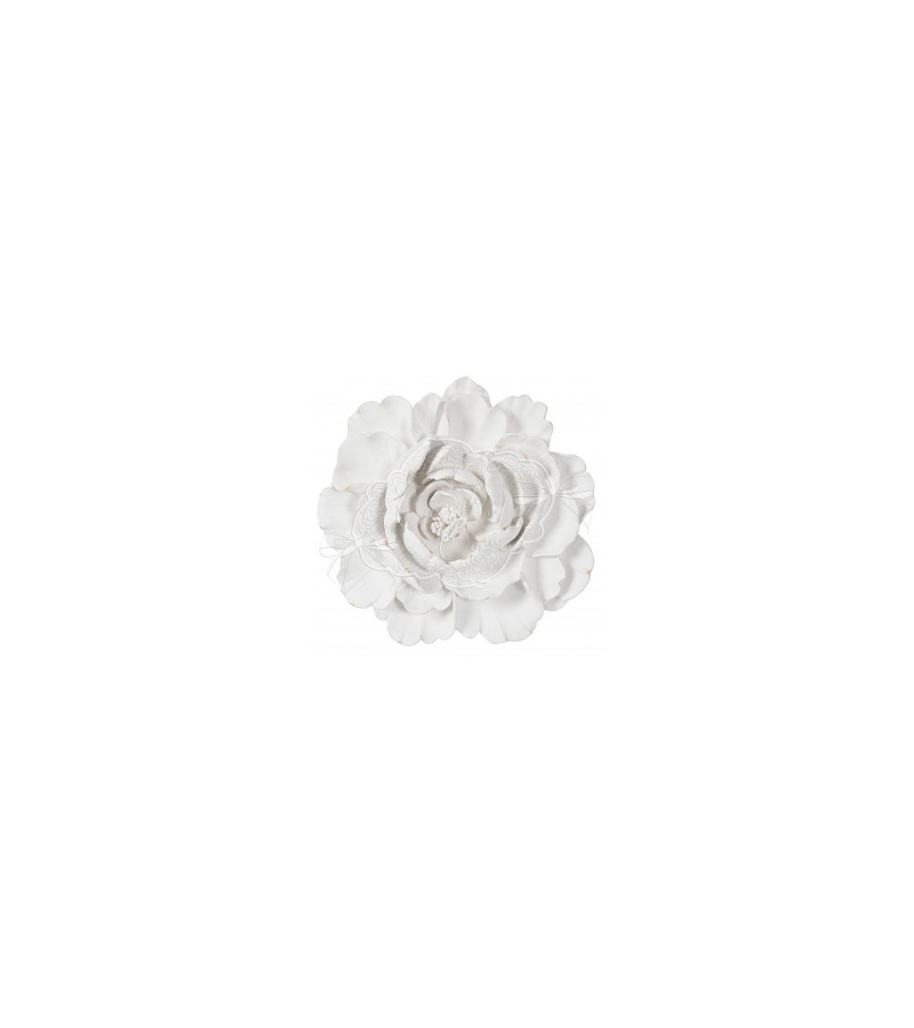 Bocciolo Camelia