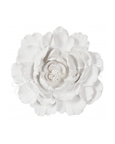 Bocciolo Camelia