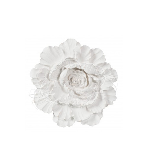 Bocciolo Camelia