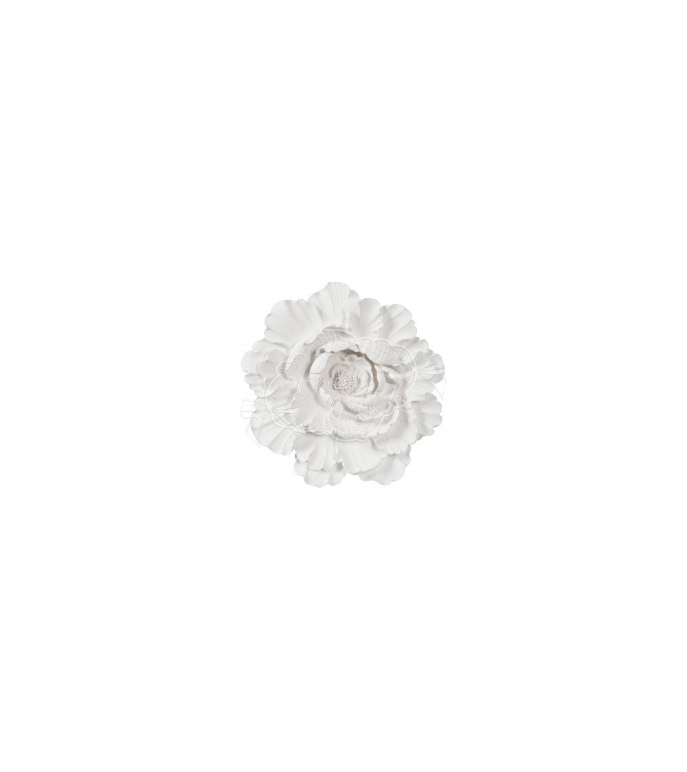 Bocciolo Camelia